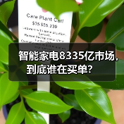 智能家电8335亿市场，到底谁在买单？（图3）
