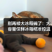 别再被大冰箱骗了:大容量保鲜冰箱精准控温净味除菌真的靠谱吗?(图2) 别再被大冰箱骗了:大容量保鲜冰箱精准控温净味除菌真的靠谱吗?(图2)