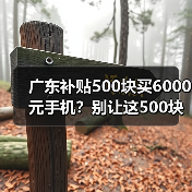 广东补贴500块买6000元手机?别让这500块白给!(图2) 广东补贴500块买6000元手机?别让这500块白给!(图2)