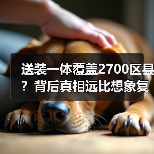 送装一体覆盖2700区县?背后真相远比想象复杂(图4) 送装一体覆盖2700区县?背后真相远比想象复杂(图4)