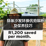 藤条沙发环保优势解析及保养技巧(图2) 藤条沙发环保优势解析及保养技巧(图2)