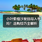 小叶紫檀沙发值得入手吗?选购技巧全解析(图2) 小叶紫檀沙发值得入手吗?选购技巧全解析(图2)