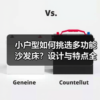 小户型如何挑选多功能沙发床？设计与特点全解析（图3）