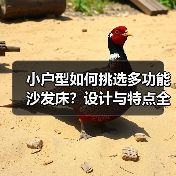 小户型如何挑选多功能沙发床？设计与特点全解析（图4）