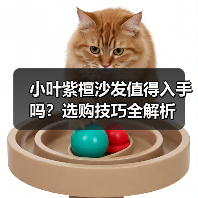小叶紫檀沙发值得入手吗?选购技巧全解析(图3) 小叶紫檀沙发值得入手吗?选购技巧全解析(图3)