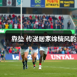 靠垫 传递居家绵情风韵