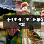 个性坐椅 “坐”出与众不同