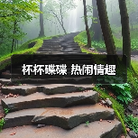 杯杯碟碟 热闹情趣