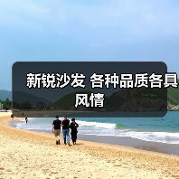 新锐沙发 各种品质各具风情（图1）