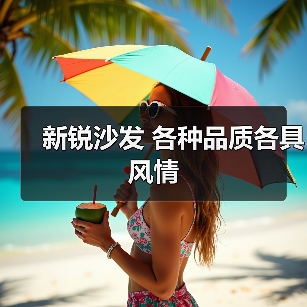 新锐沙发 各种品质各具风情（图2）