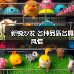 新锐沙发 各种品质各具风情（图4）