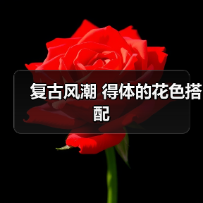 复古风潮 得体的花色搭配（图1）