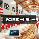 色彩皮革 一片奢华景象（图2）