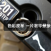 色彩皮革 一片奢华景象（图4）