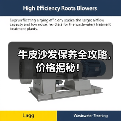 牛皮沙发保养全攻略，价格揭秘！