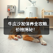 牛皮沙发保养全攻略，价格揭秘！（图3）