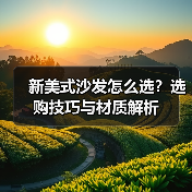 新美式沙发怎么选?选购技巧与材质解析(图2) 新美式沙发怎么选?选购技巧与材质解析(图2)