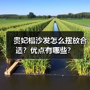 贵妃榻沙发怎么摆放合适?优点有哪些?(图4) 贵妃榻沙发怎么摆放合适?优点有哪些?(图4)