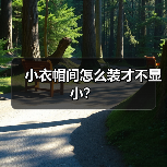 小衣帽间怎么装才不显小？