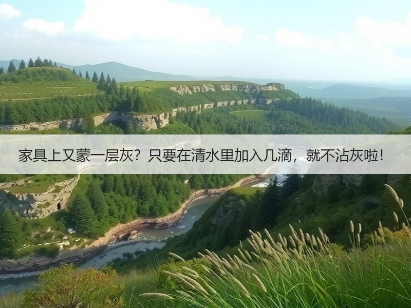 家具上又蒙一层灰？只要在清水里加入几滴，