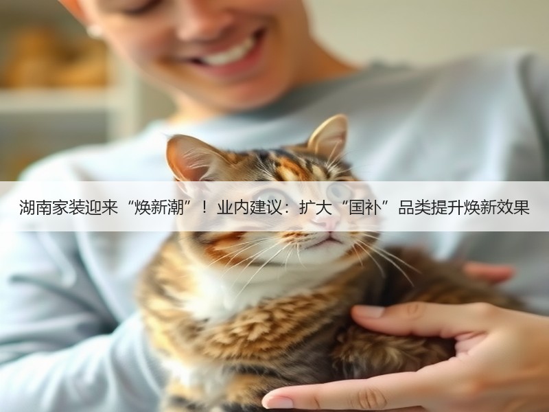 湖南家装迎来“焕新潮”！业内建议：扩大“