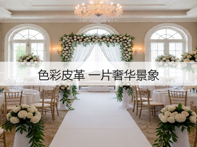 色彩皮革 一片奢华景象