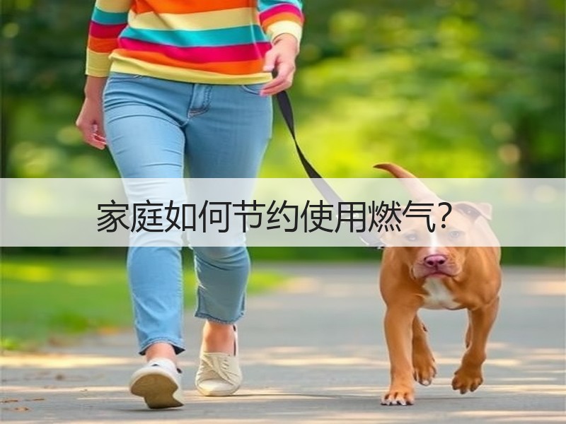 家庭如何节约使用燃气？
