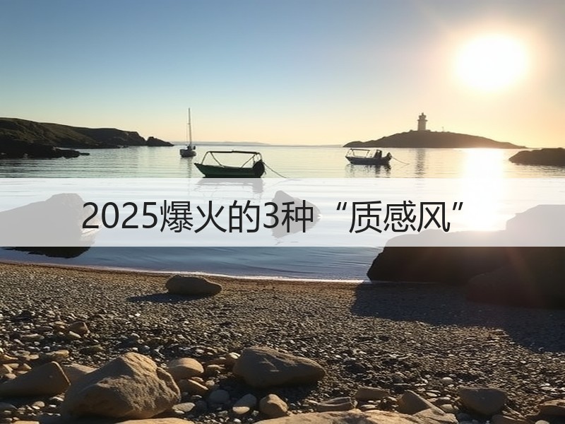 2025爆火的3种“质感风”