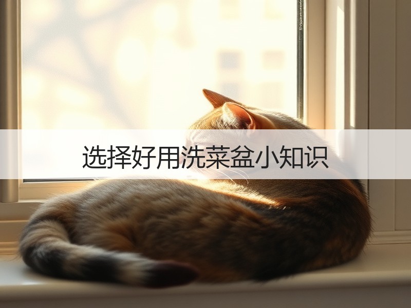 选择好用洗菜盆小知识