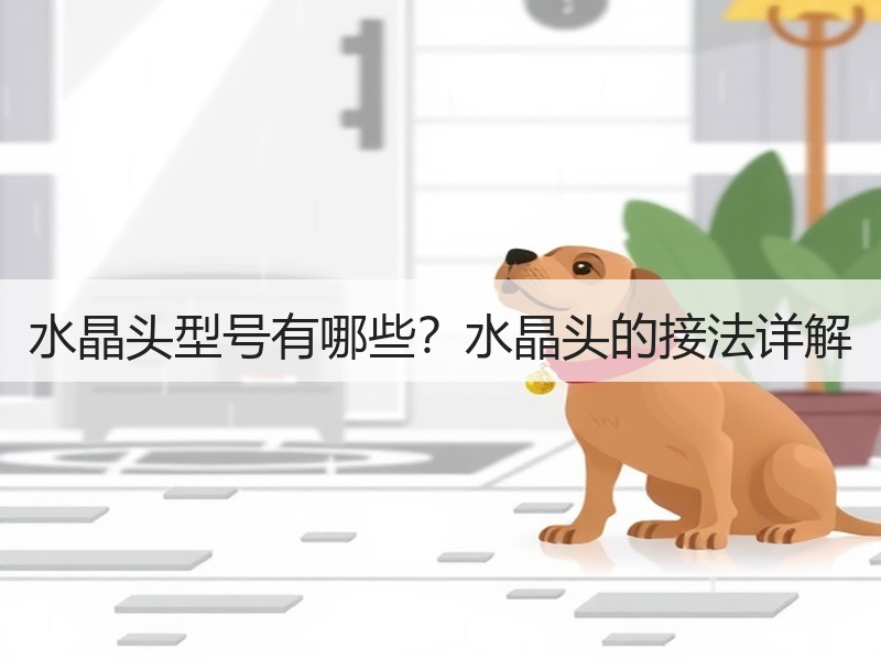 水晶头型号有哪些？水晶头的接法详解