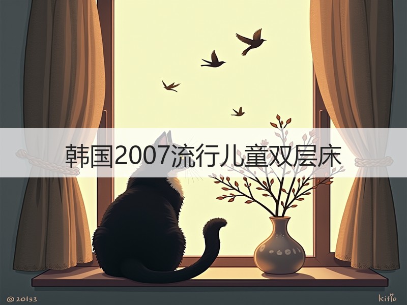 韩国2007流行儿童双层床