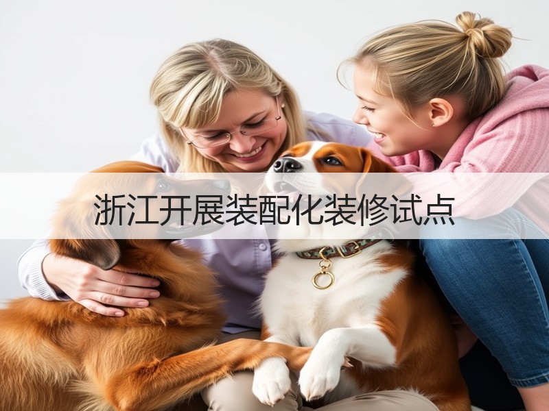 浙江开展装配化装修试点