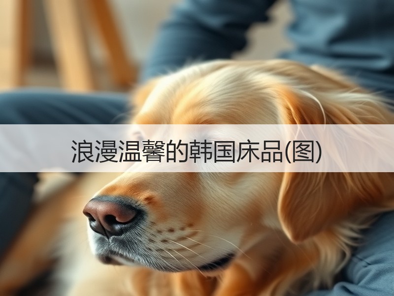浪漫温馨的韩国床品(图)