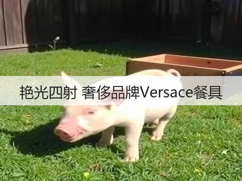 艳光四射 奢侈品牌Versace餐具