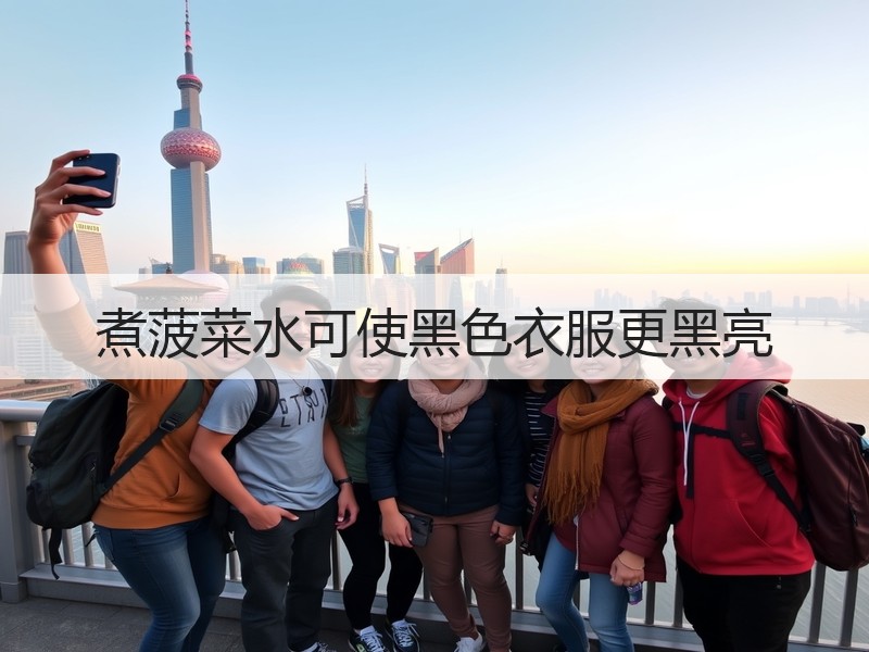 煮菠菜水可使黑色衣服更黑亮