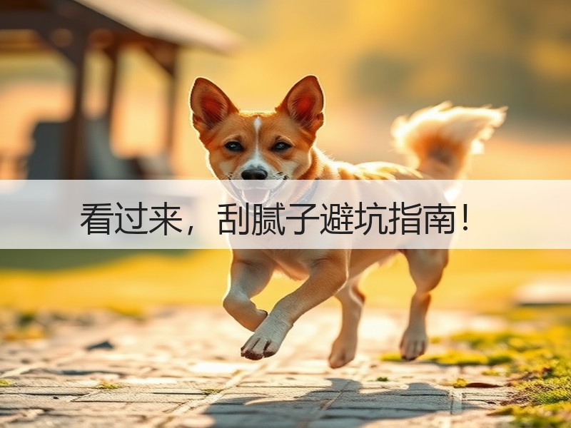 看过来，刮腻子避坑指南！