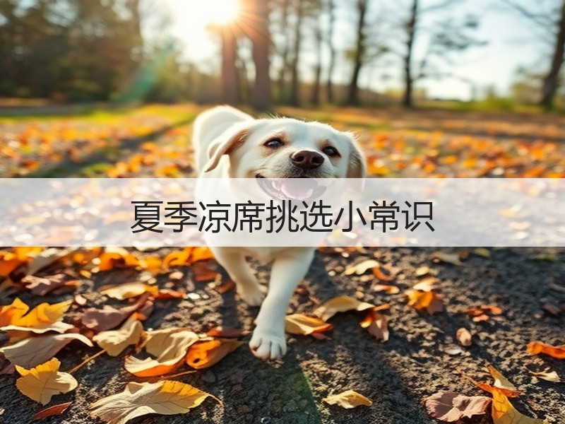 夏季凉席挑选小常识