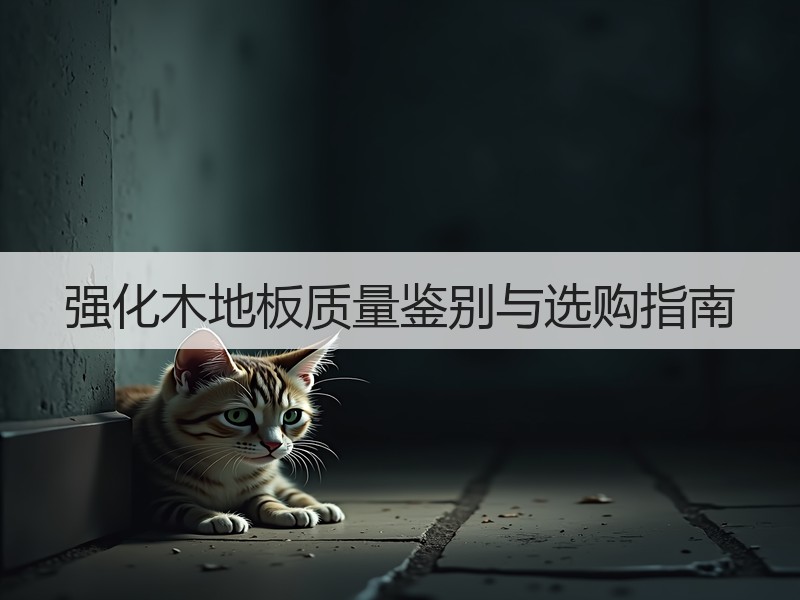 强化木地板质量鉴别与选购指南