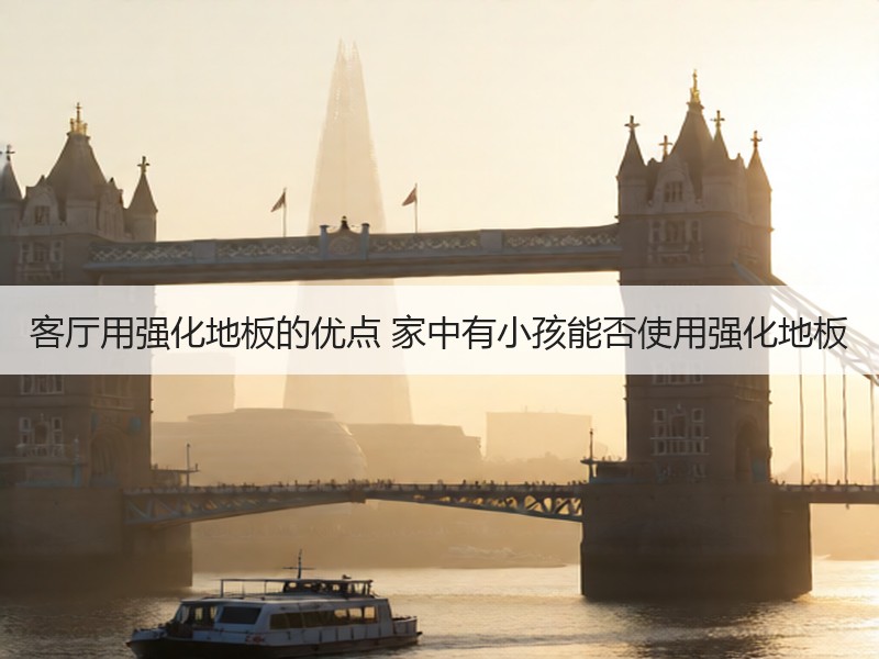 客厅用强化地板的优点 家中有小孩能否使用