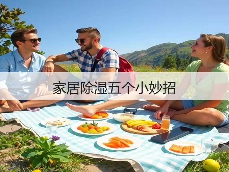 家居除湿五个小妙招