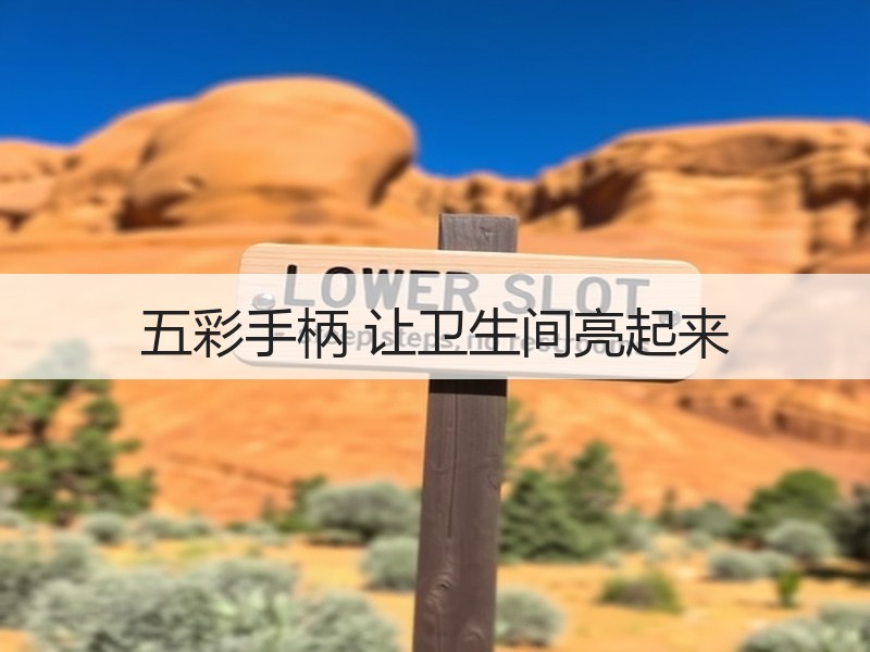 五彩手柄 让卫生间亮起来