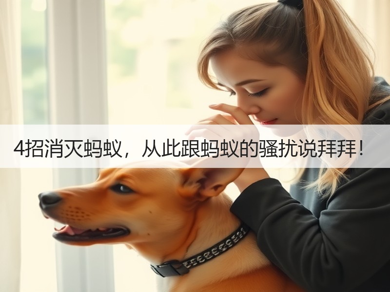4招消灭蚂蚁，从此跟蚂蚁的骚扰说拜拜！