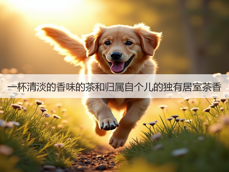 一杯清淡的香味的茶和归属自个儿的独有居室