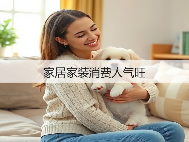 家居家装消费人气旺