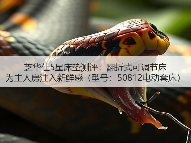 芝华仕5星床垫测评：翻折式可调节床 为主