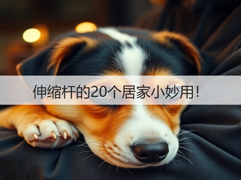 伸缩杆的20个居家小妙用！