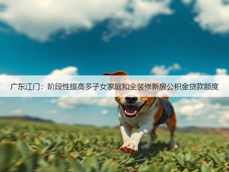 广东江门：阶段性提高多子女家庭和全装修新