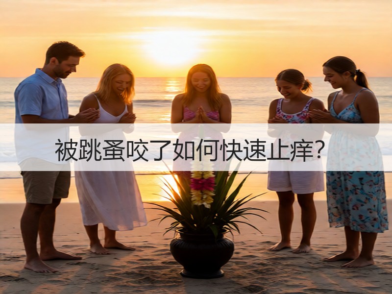 被跳蚤咬了如何快速止痒？