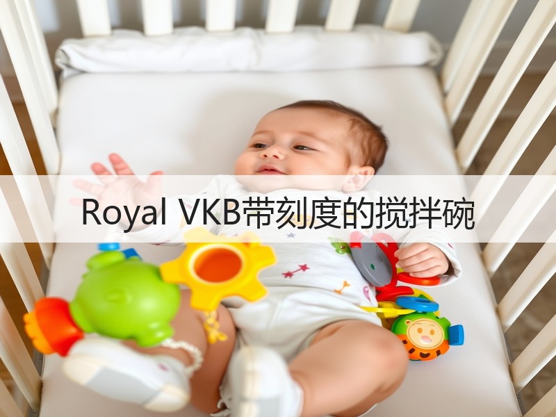 Royal VKB带刻度的搅拌碗