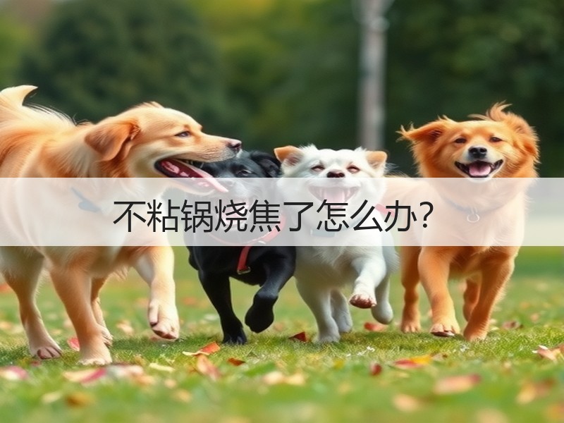 不粘锅烧焦了怎么办？
